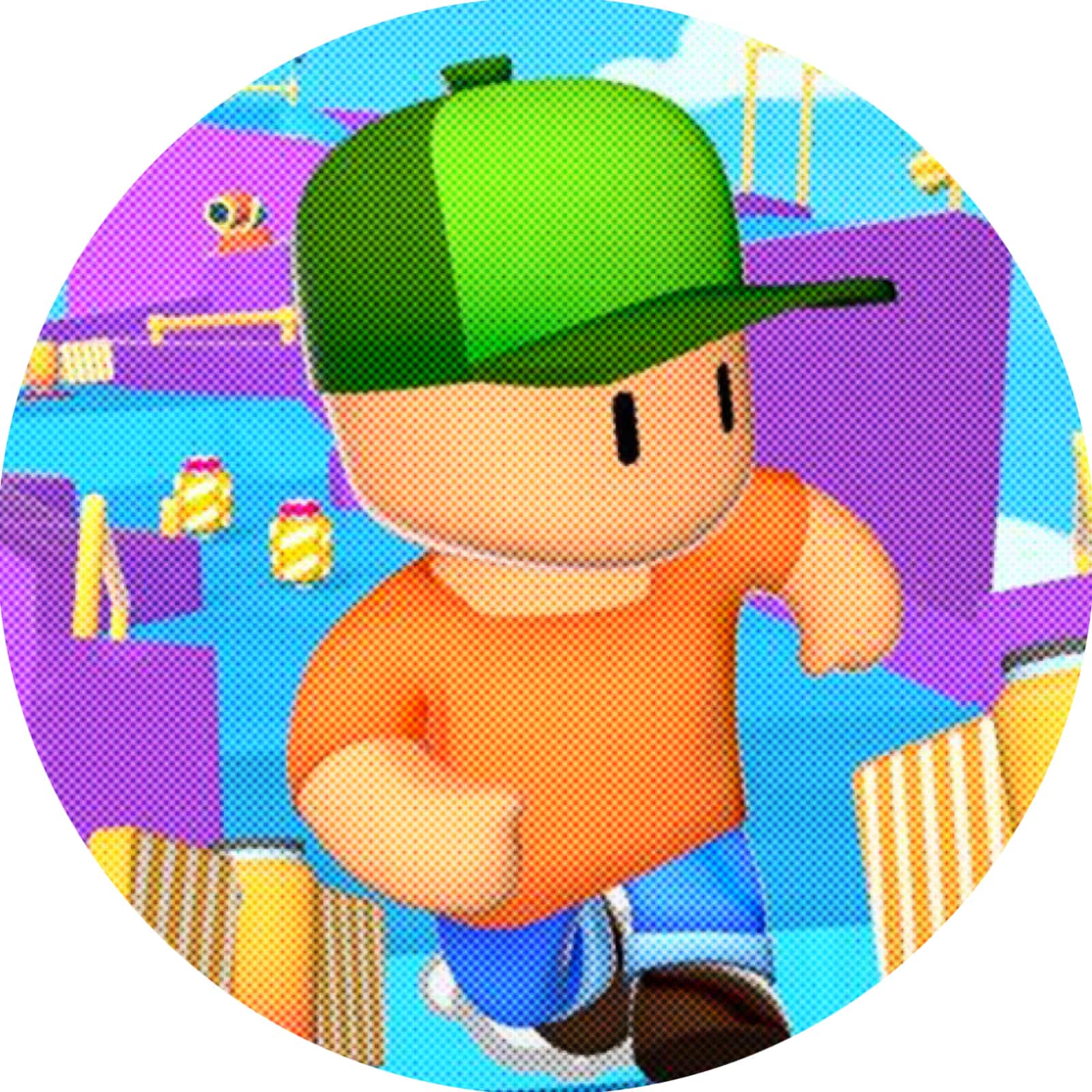 Stumble Guys SG FunPay Stumble Guys SG FunPay